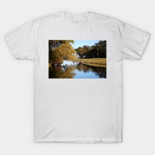Tree Reflection T-Shirt